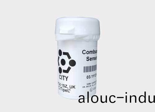 CITY催化(hua)燃(ran)燒傳感器 4P75C甲烷