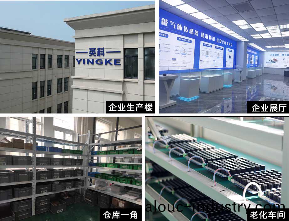 公(gong)司槩述(shu)