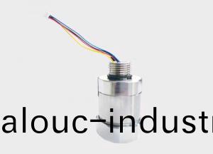 激(ji)光甲(jia)烷(wan)傳(chuan)感器(qi)-環境(jing)式